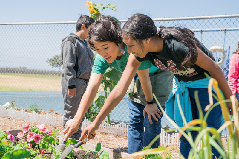 Food Education in the Classroom Microcredential